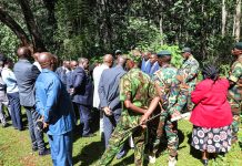 Meru Forest or Airstrip, State Lodge, Golf Course?